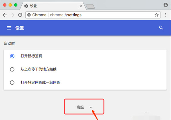 Google Chrome For Mac截图