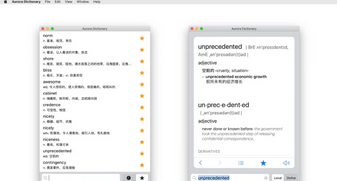 极光词典Mac截图