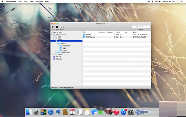 SVN Server Mac截图