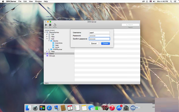 SVN Server Mac截图