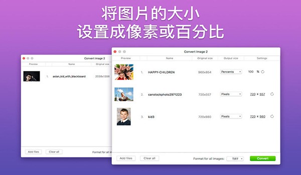 图像转换器2Mac截图