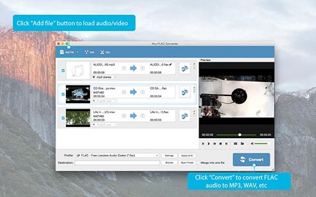 Any FLAC Converter Mac截图