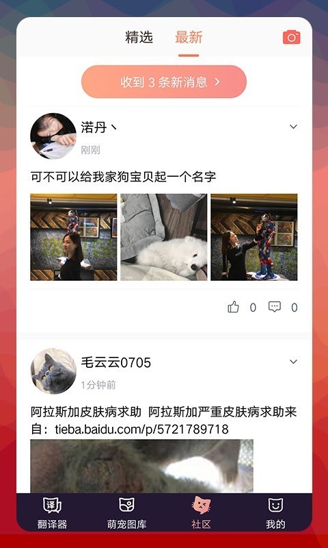 猫语翻译器专业版电脑版截图