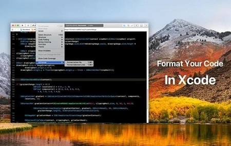 XCFormat Mac截图
