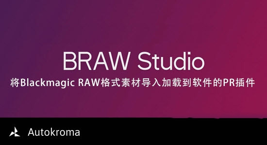 BRAW截图