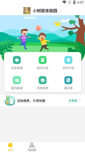 小树苗建成长电脑版截图