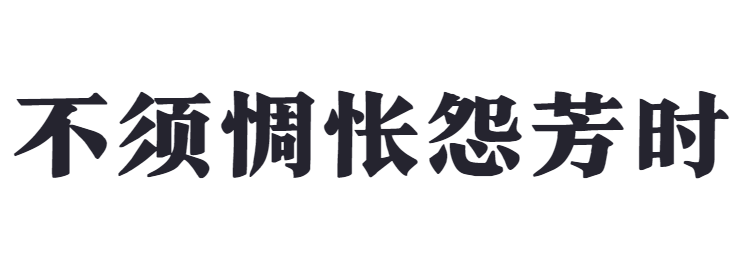 点字玄真宋截图