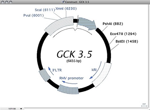 Gene Construction Kit Mac截图