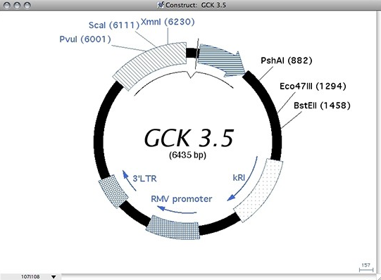 Gene Construction Kit Mac截图