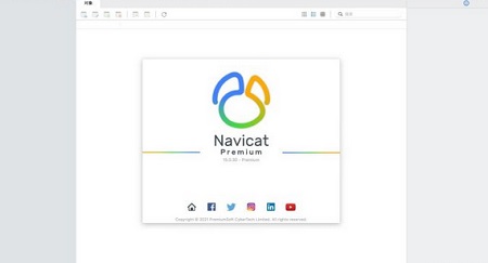 Navicat 15 for Oracle Mac截图