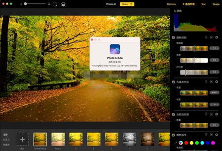 Photo AI Mac截图