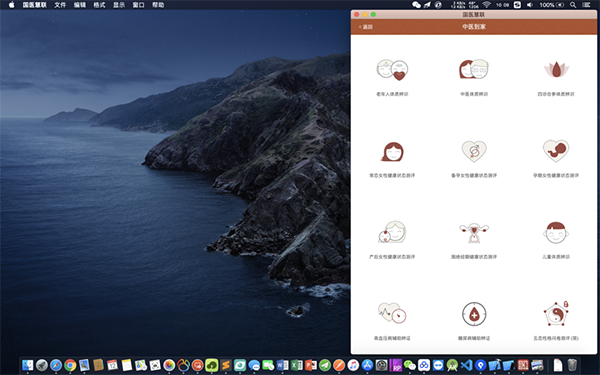 国医慧联Mac截图
