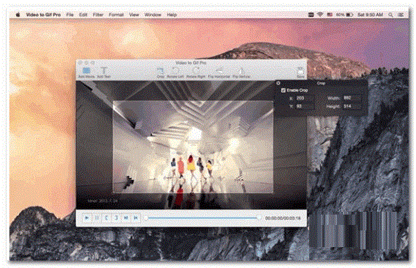 Video to GIF Pro For Mac截图