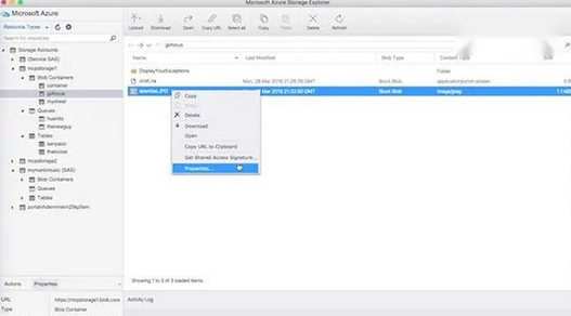 Azure Storage Explorer Mac截图