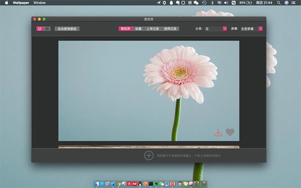 壁纸管家MAC截图
