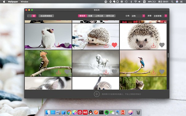 壁纸管家MAC截图