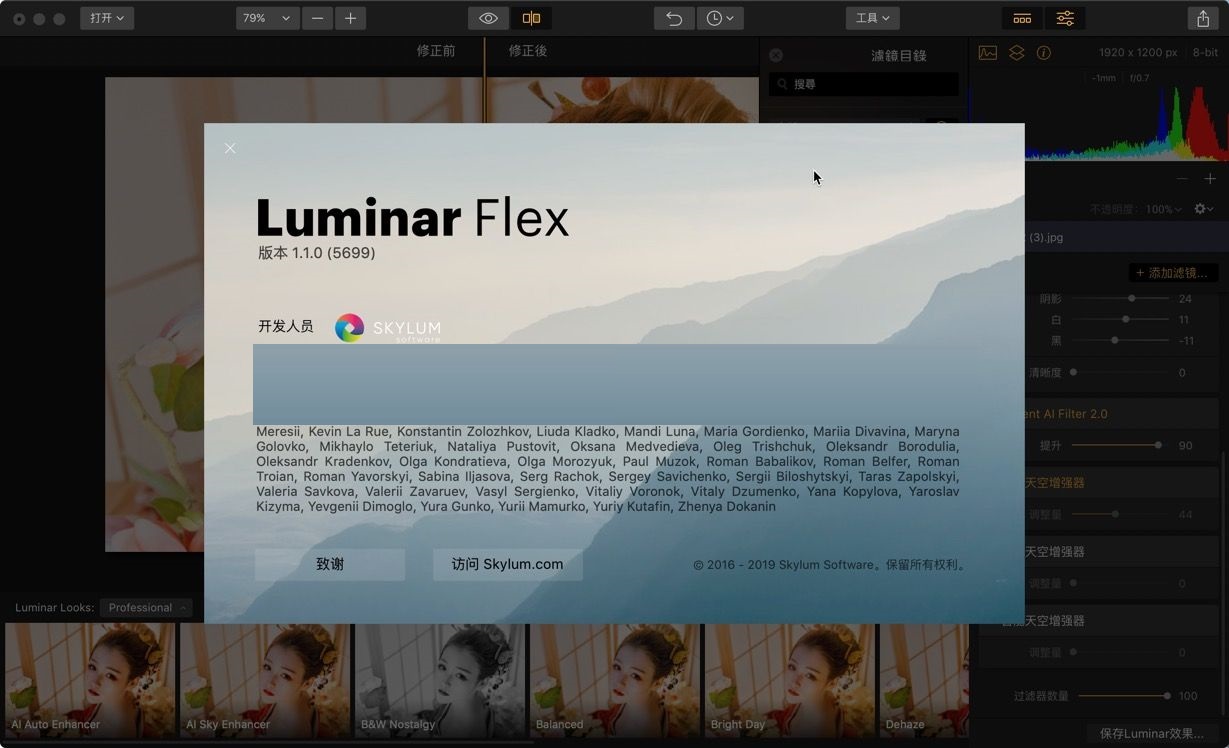 Luminar Flex for Mac截图