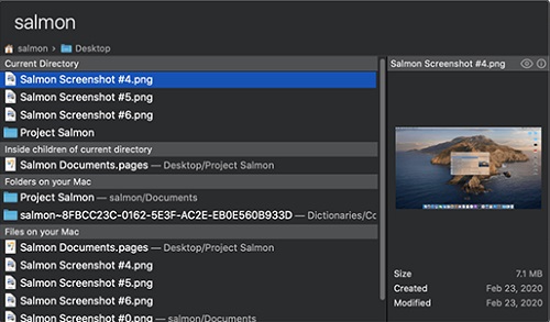 Salmon Mac截图