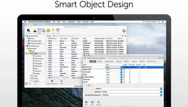 Navicat for MySQL 12 Mac截图