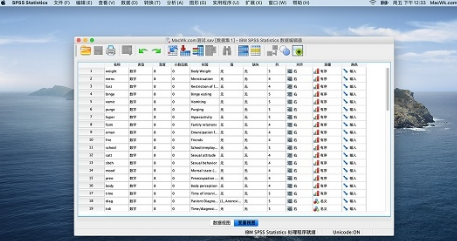 IBM SPSS Statistics Mac截图