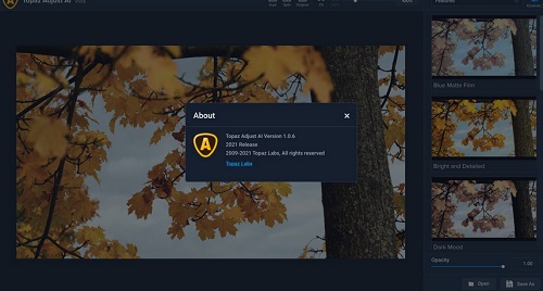 Topaz Adjust AI Mac截图