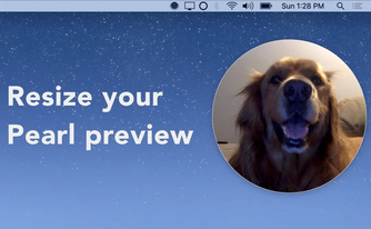 Peral Mac截图
