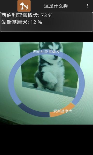 这是什么狗截图