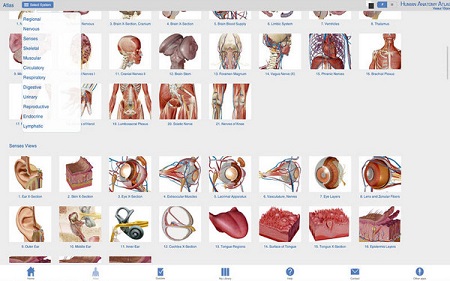 Human Anatomy Atlas Mac截图