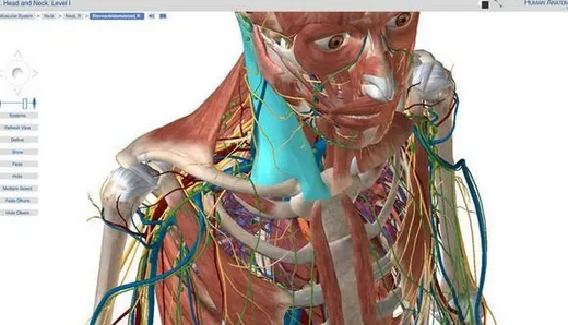 Human Anatomy Atlas Mac截图