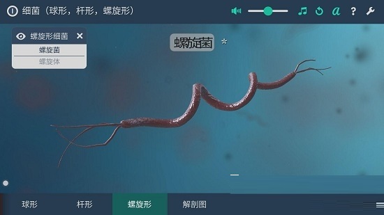 3D模拟病菌实景电脑版截图