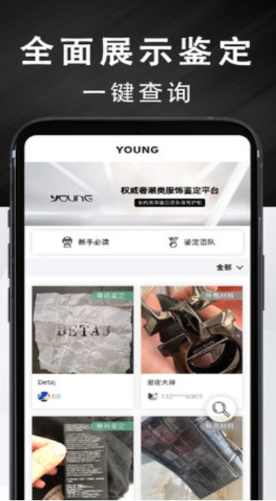 Young截图