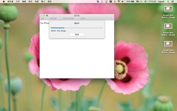文件传输助手Mac截图