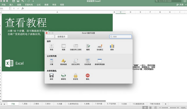 Microsoft Excel 2019 Mac截图