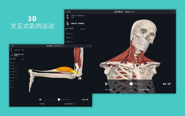 Complete Anatomy Mac截图