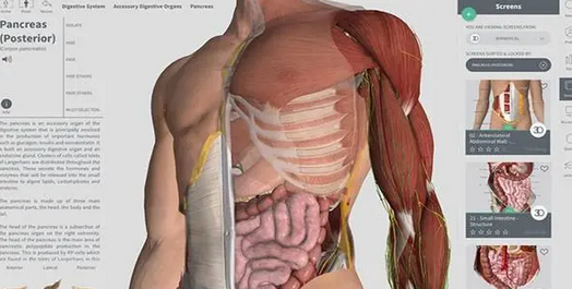 Complete Anatomy Mac截图