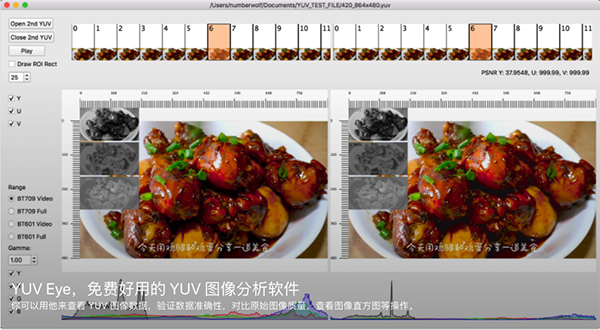 YUV Eye MAC截图