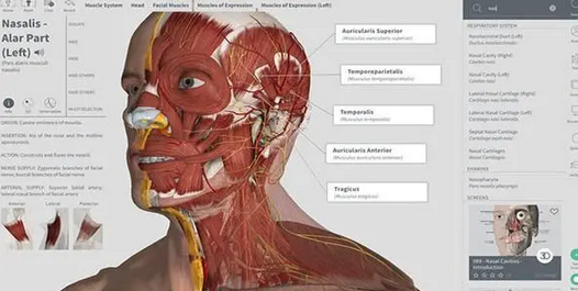 Complete Anatomy Mac截图