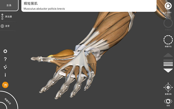 艺术家之3D解剖图截图