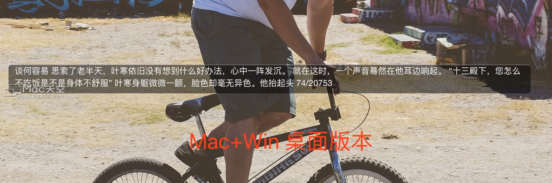 Thief Book Mac截图