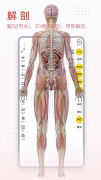 3DBody解剖电脑版截图