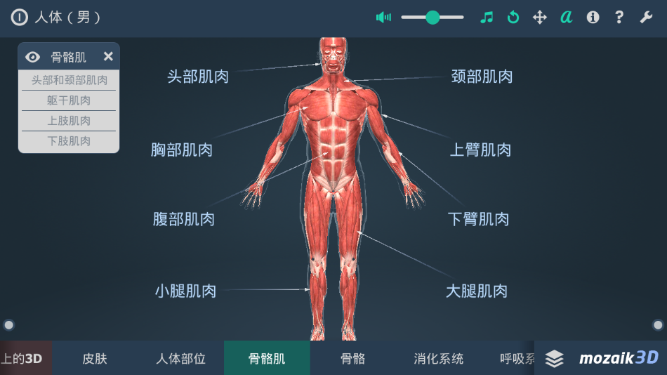 立体全身解剖模拟电脑版截图