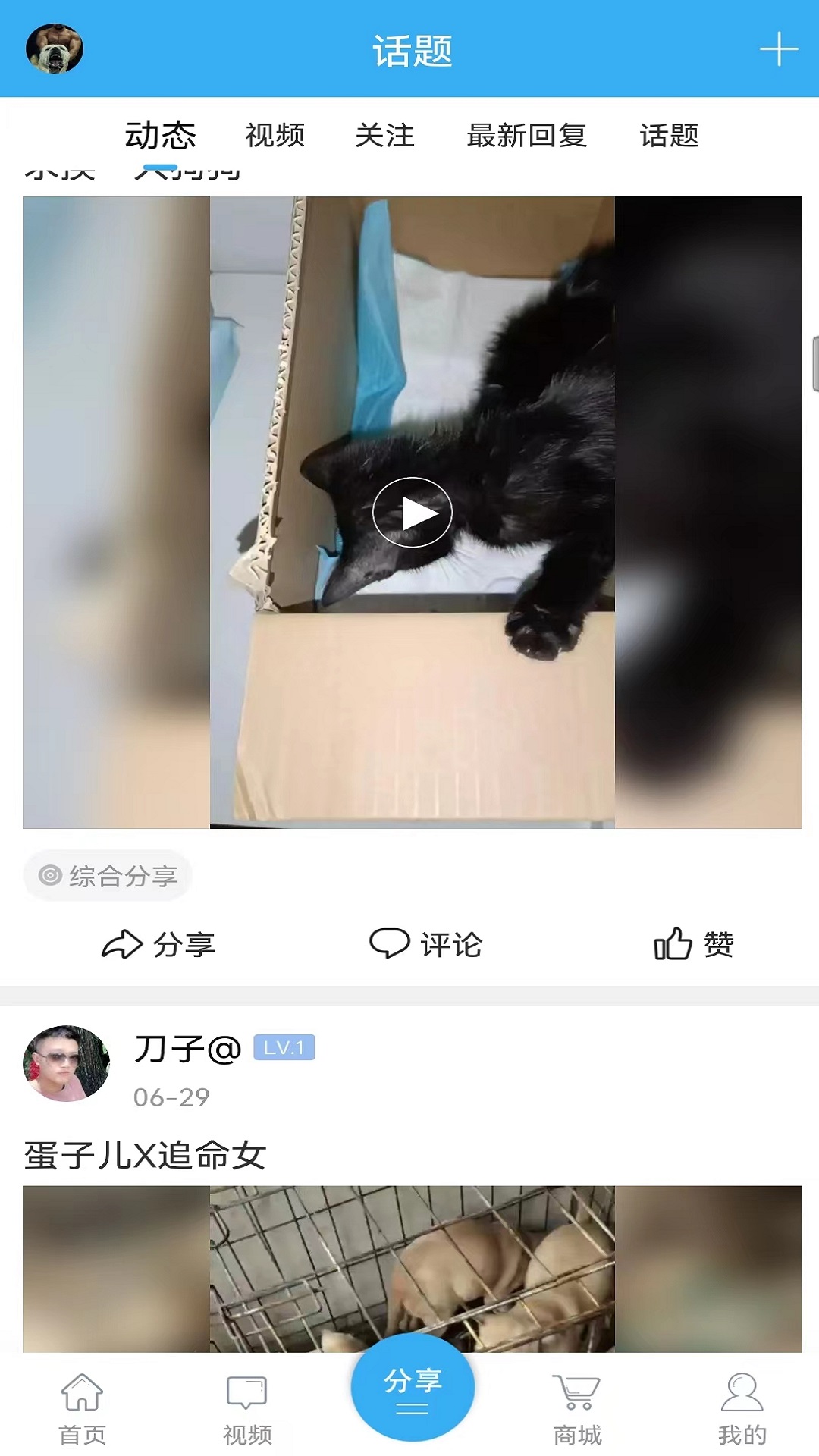 猛犬俱乐部截图