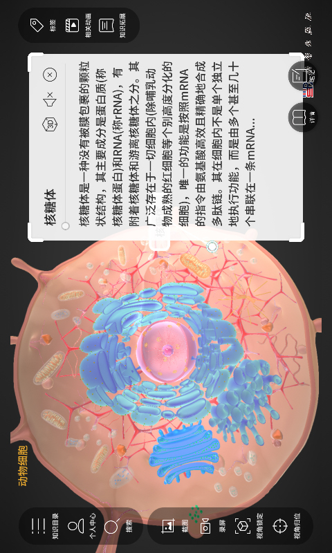 细胞生物学3D资源库系统截图