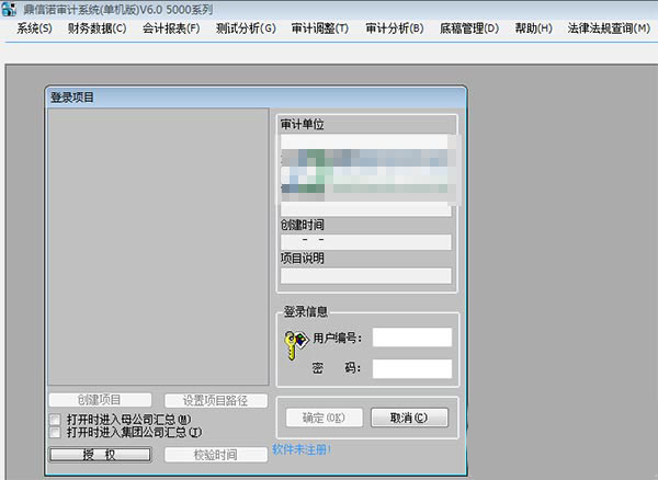 鼎信诺审计软件6110截图