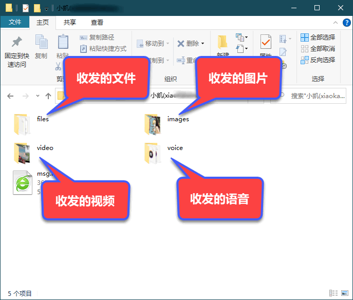 楼月电脑版微信聊天记录导出软件截图