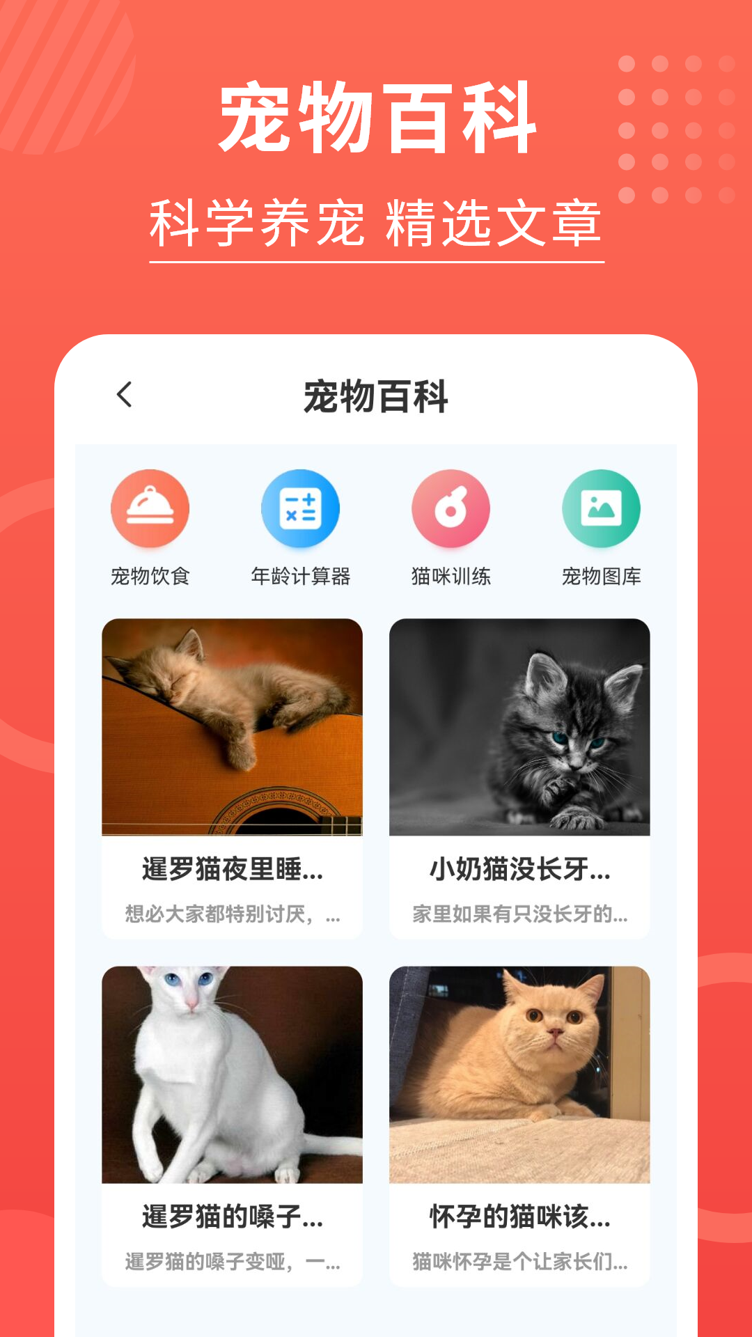 猫猫翻译器截图