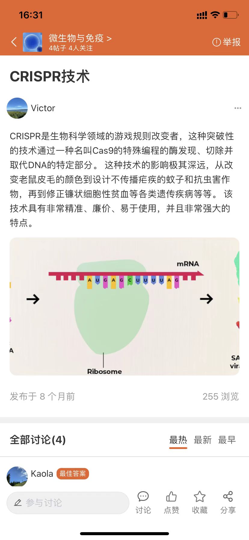 有问必答截图