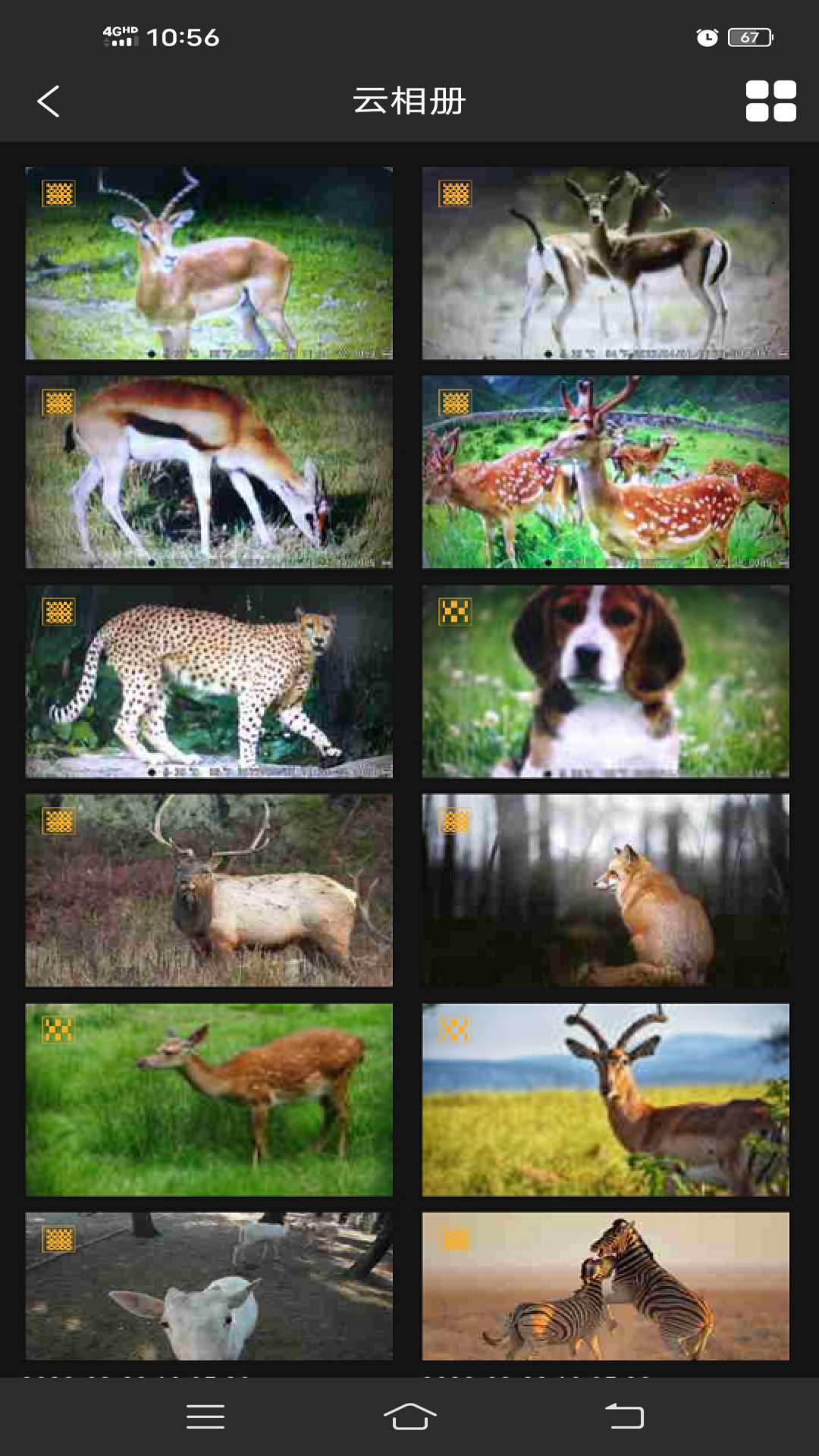 Trail Cam_4G截图