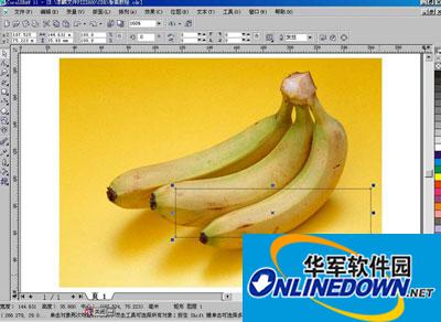 cdr是什么文件？