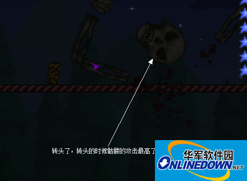 泰拉瑞亚地牢开启及地牢守卫BOSS击败攻略5
